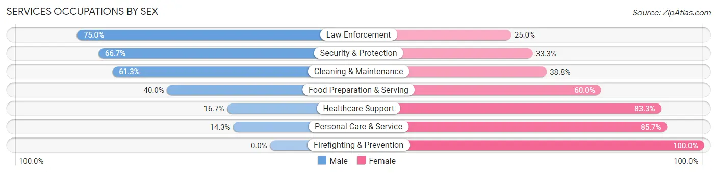 Services Occupations by Sex in Zip Code 15864