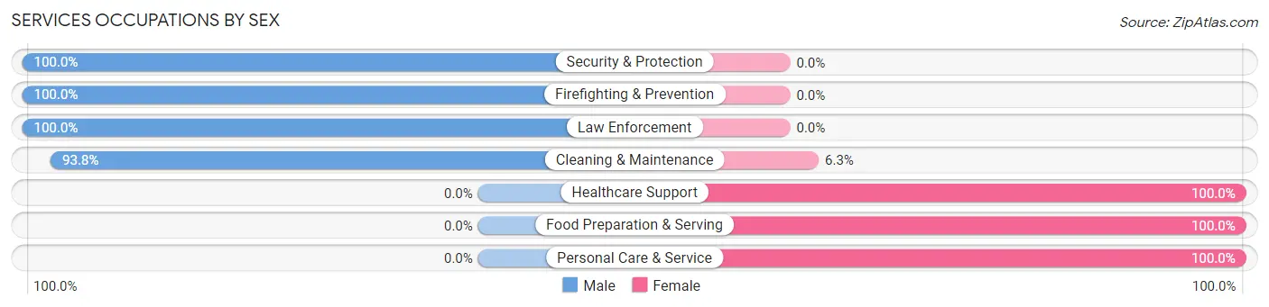 Services Occupations by Sex in Zip Code 15865
