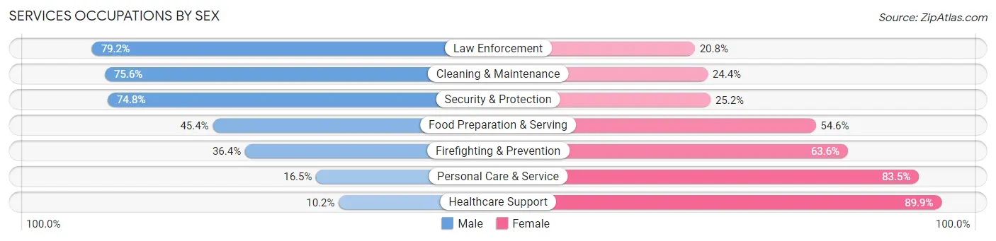 Services Occupations by Sex in Zip Code 15904