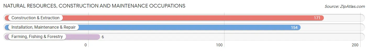 Natural Resources, Construction and Maintenance Occupations in Zip Code 15906