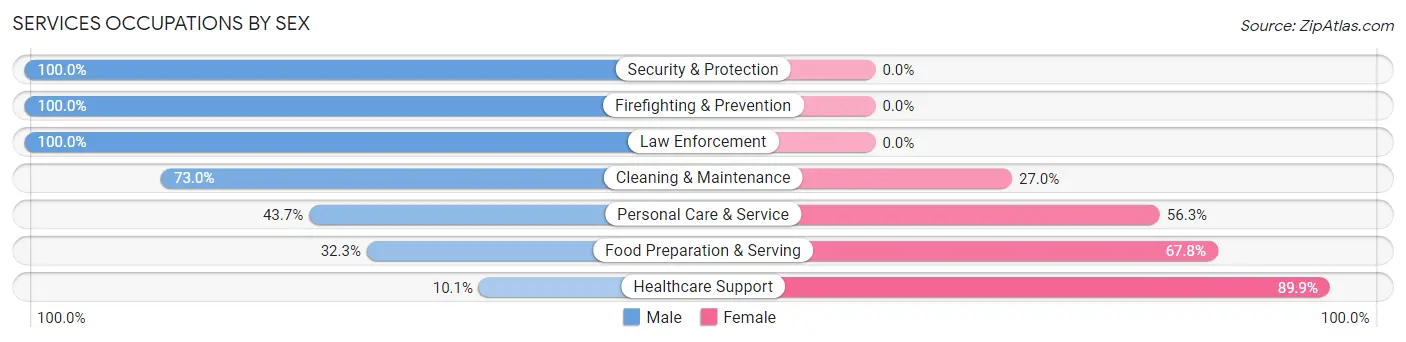 Services Occupations by Sex in Zip Code 15906