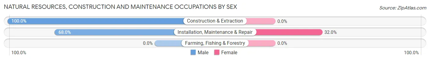 Natural Resources, Construction and Maintenance Occupations by Sex in Zip Code 15909