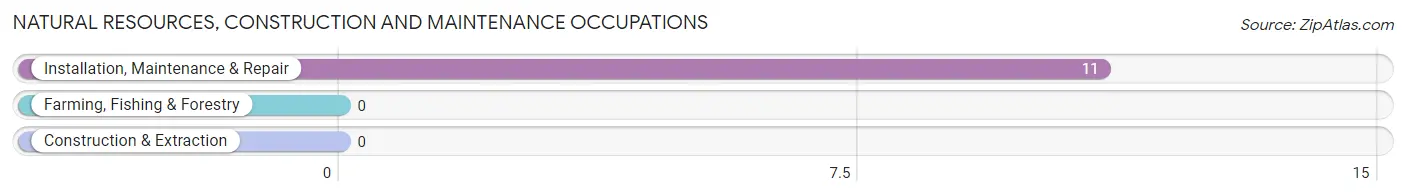 Natural Resources, Construction and Maintenance Occupations in Zip Code 15922