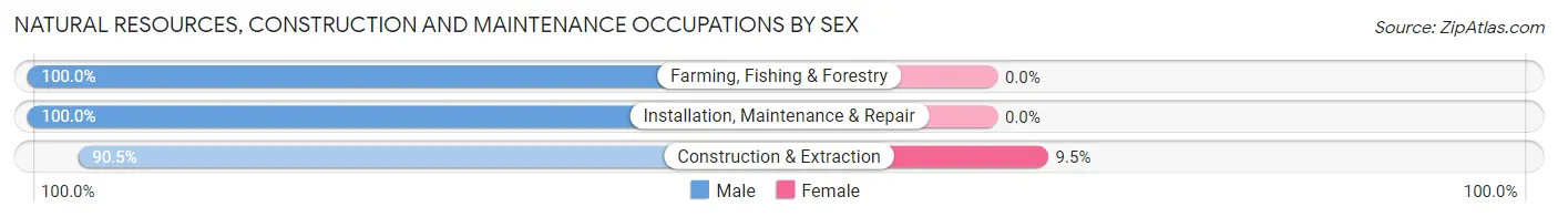 Natural Resources, Construction and Maintenance Occupations by Sex in Zip Code 15923