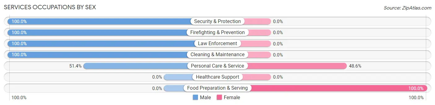 Services Occupations by Sex in Zip Code 15928