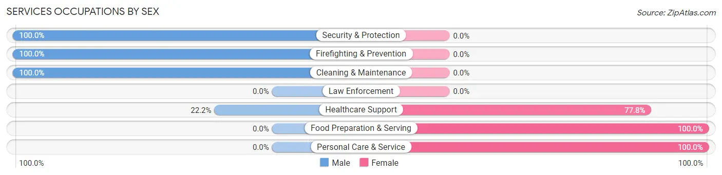 Services Occupations by Sex in Zip Code 15935