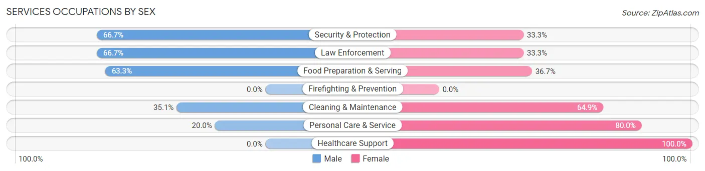 Services Occupations by Sex in Zip Code 15936