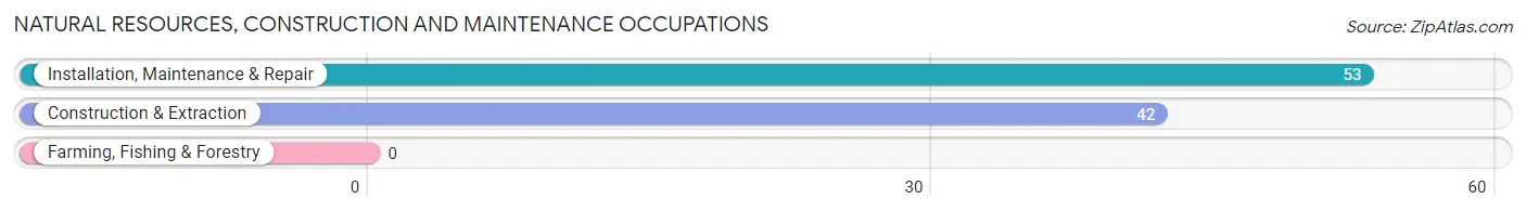 Natural Resources, Construction and Maintenance Occupations in Zip Code 15938