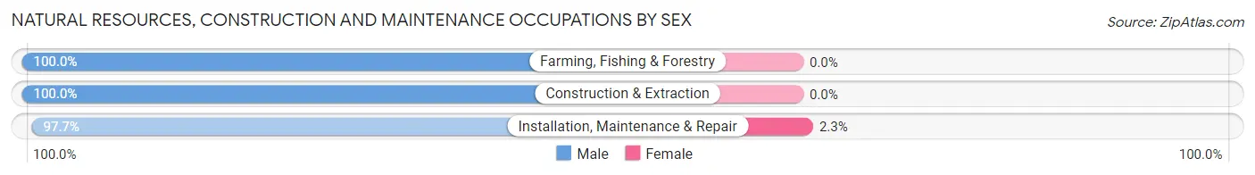 Natural Resources, Construction and Maintenance Occupations by Sex in Zip Code 15944