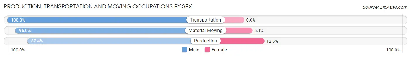 Production, Transportation and Moving Occupations by Sex in Zip Code 15958