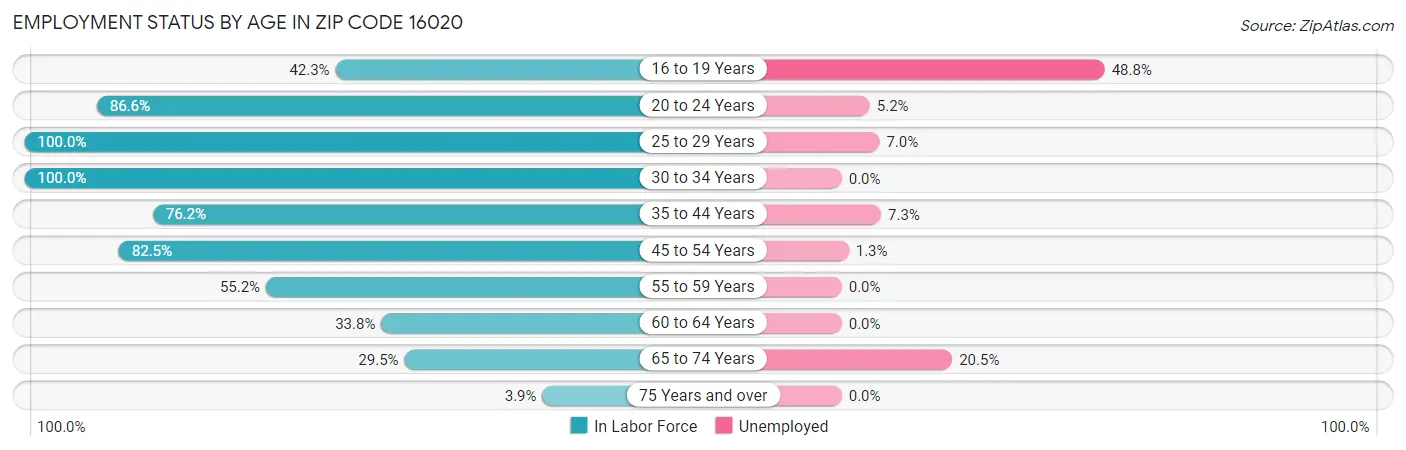 Employment Status by Age in Zip Code 16020