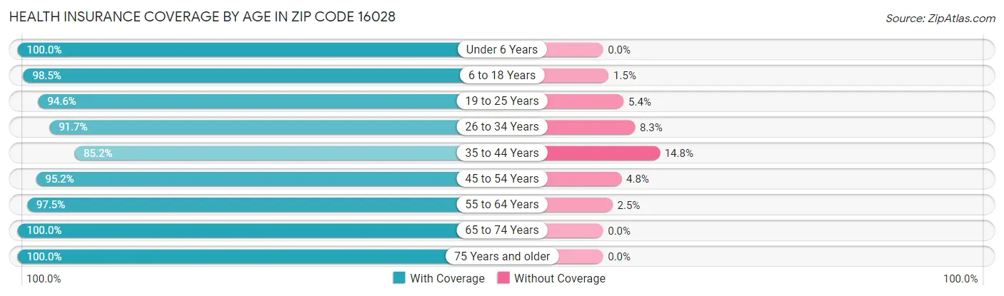 Health Insurance Coverage by Age in Zip Code 16028
