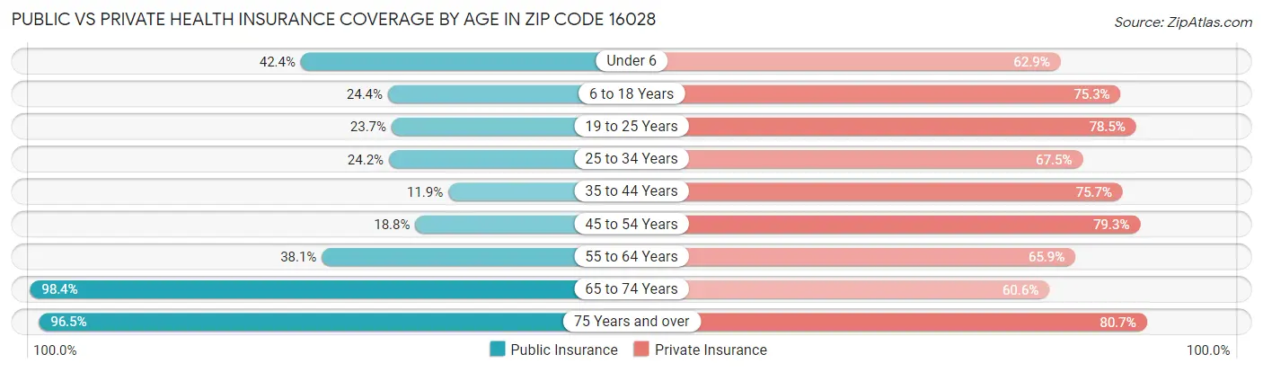 Public vs Private Health Insurance Coverage by Age in Zip Code 16028