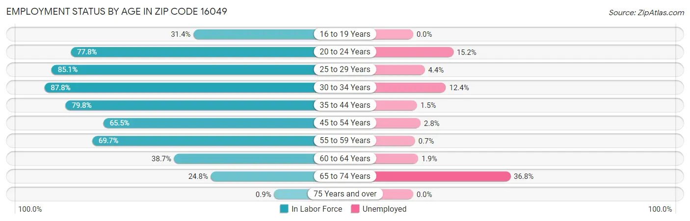 Employment Status by Age in Zip Code 16049