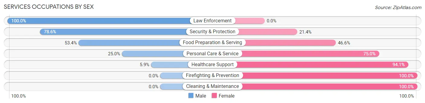 Services Occupations by Sex in Zip Code 16063