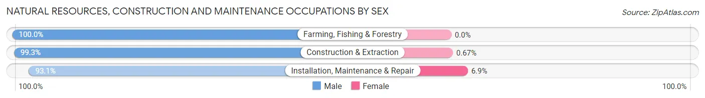 Natural Resources, Construction and Maintenance Occupations by Sex in Zip Code 16101