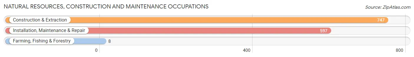 Natural Resources, Construction and Maintenance Occupations in Zip Code 16101