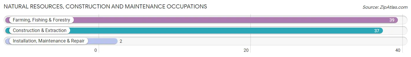 Natural Resources, Construction and Maintenance Occupations in Zip Code 16111