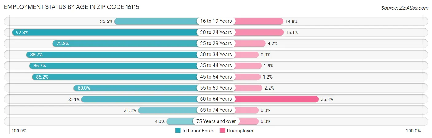 Employment Status by Age in Zip Code 16115