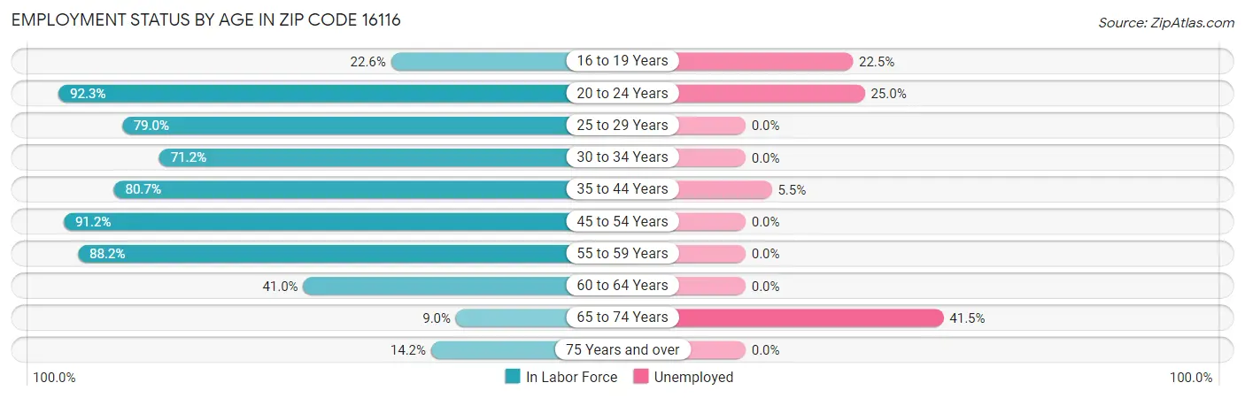 Employment Status by Age in Zip Code 16116