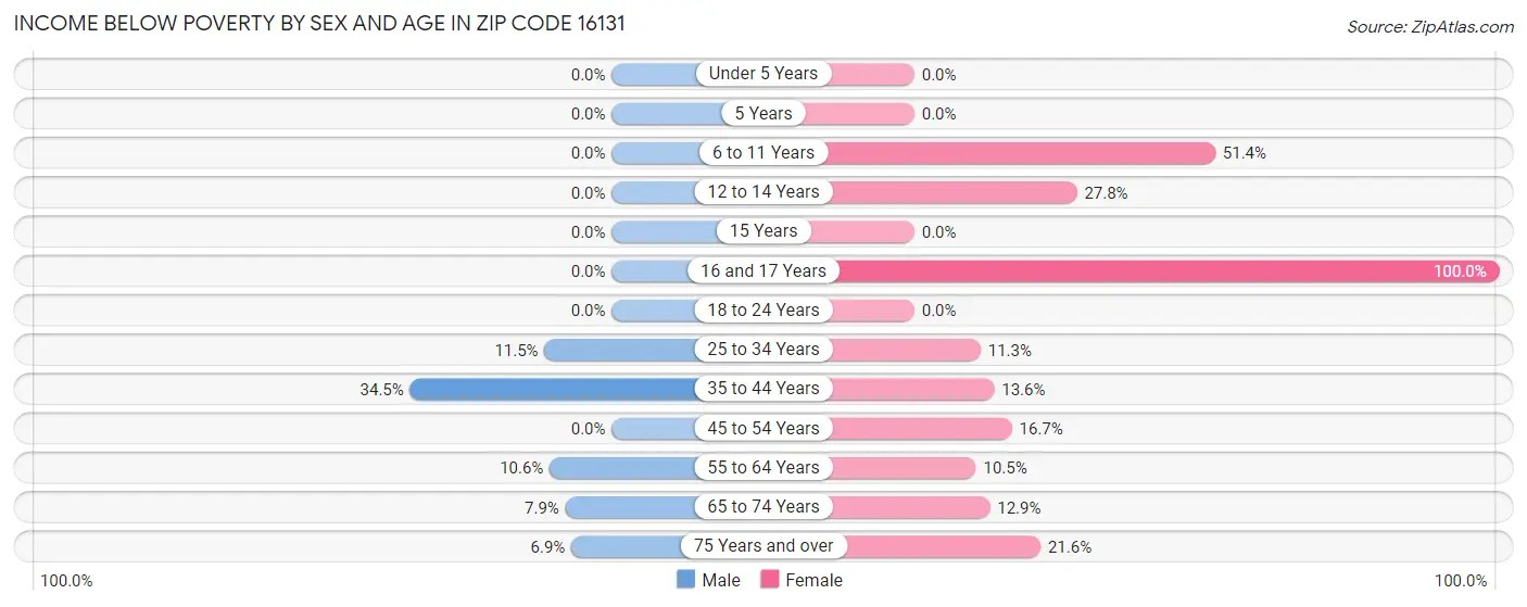 Income Below Poverty by Sex and Age in Zip Code 16131