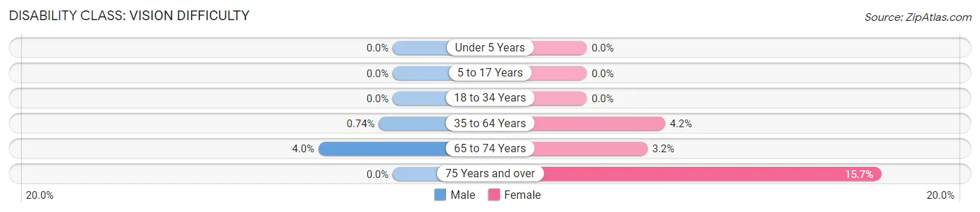 Disability in Zip Code 16131: <span>Vision Difficulty</span>