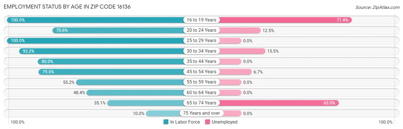 Employment Status by Age in Zip Code 16136