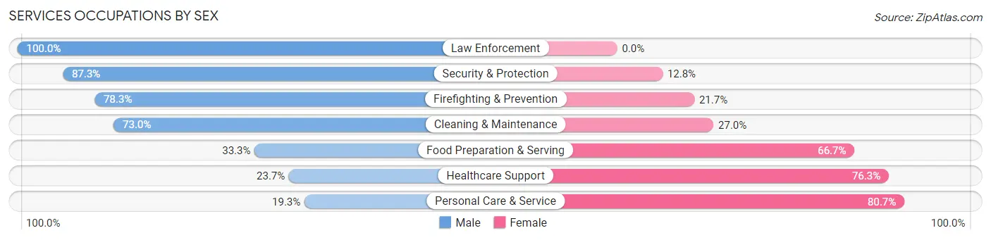 Services Occupations by Sex in Zip Code 16137