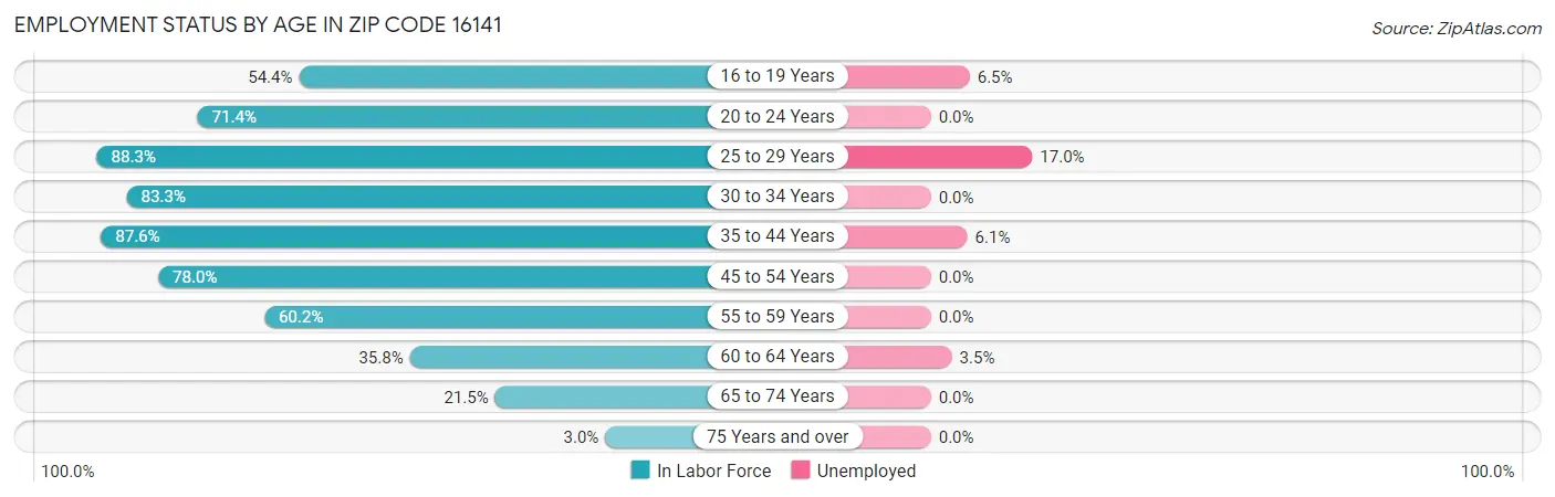 Employment Status by Age in Zip Code 16141