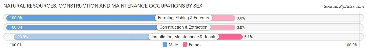 Natural Resources, Construction and Maintenance Occupations by Sex in Zip Code 16141