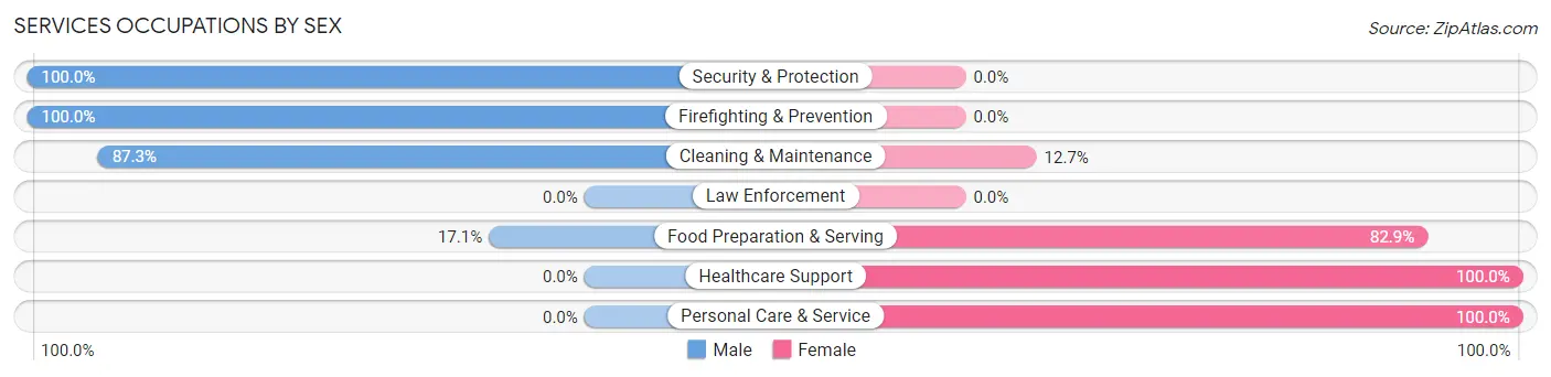 Services Occupations by Sex in Zip Code 16141