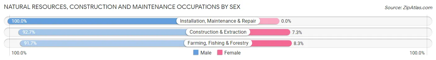 Natural Resources, Construction and Maintenance Occupations by Sex in Zip Code 16156