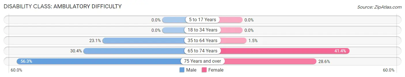 Disability in Zip Code 16161: <span>Ambulatory Difficulty</span>