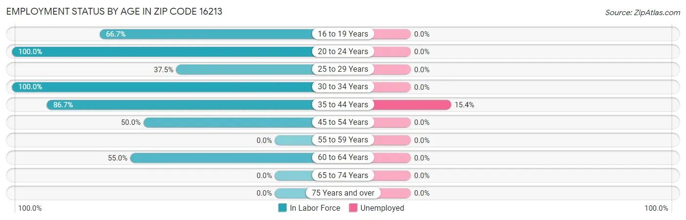 Employment Status by Age in Zip Code 16213