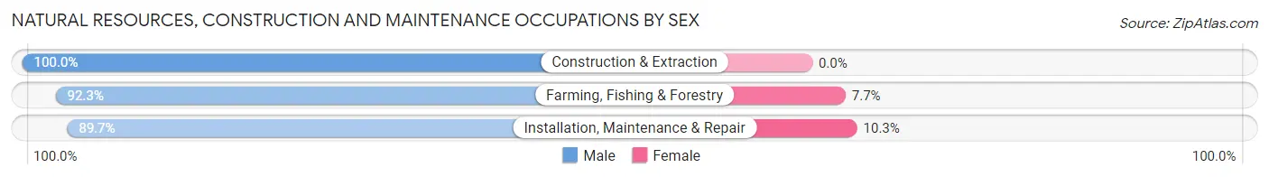 Natural Resources, Construction and Maintenance Occupations by Sex in Zip Code 16222