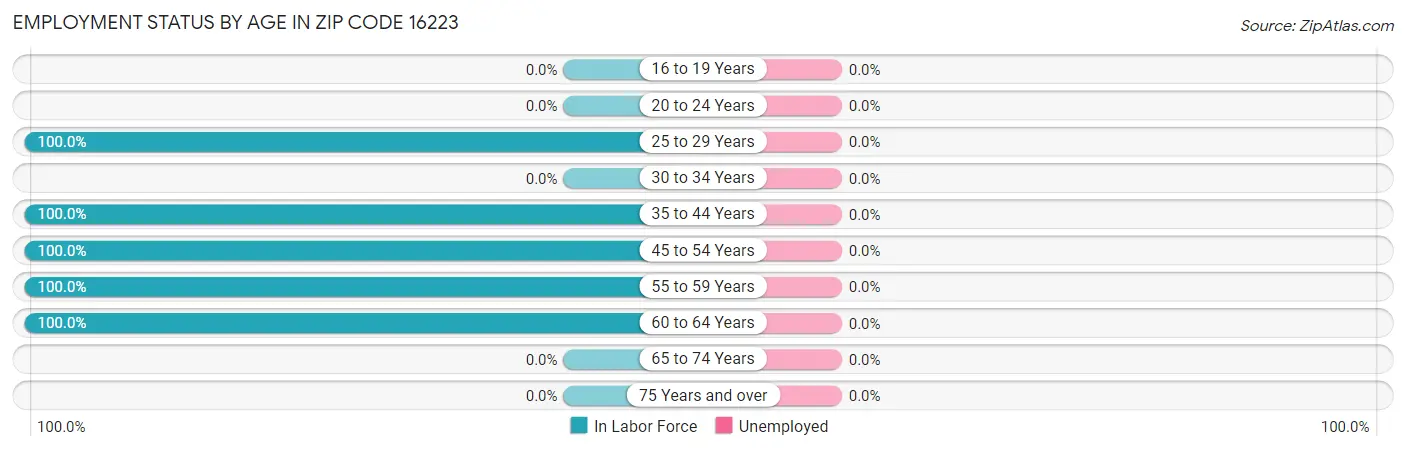 Employment Status by Age in Zip Code 16223