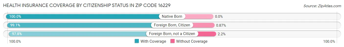 Health Insurance Coverage by Citizenship Status in Zip Code 16229