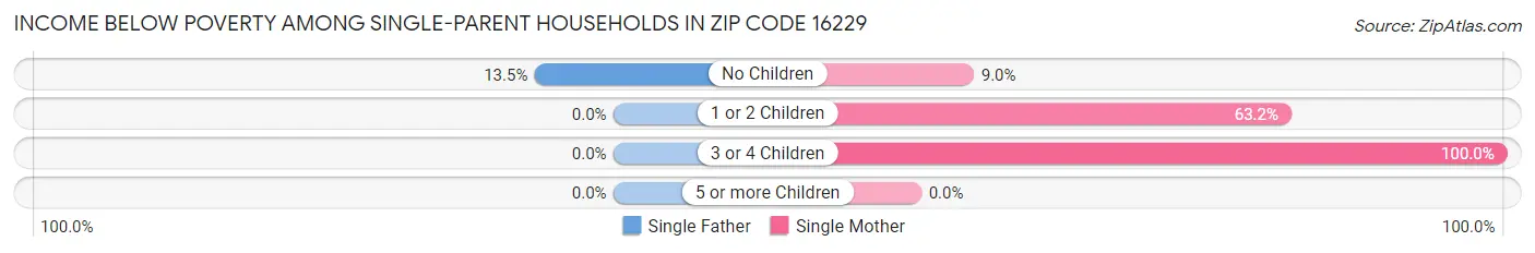 Income Below Poverty Among Single-Parent Households in Zip Code 16229