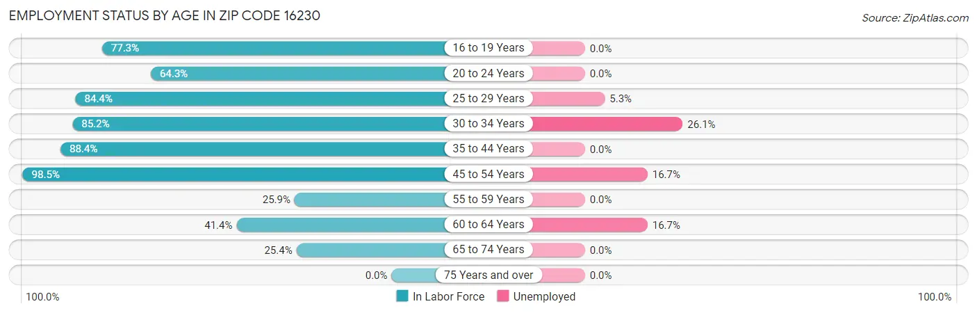 Employment Status by Age in Zip Code 16230