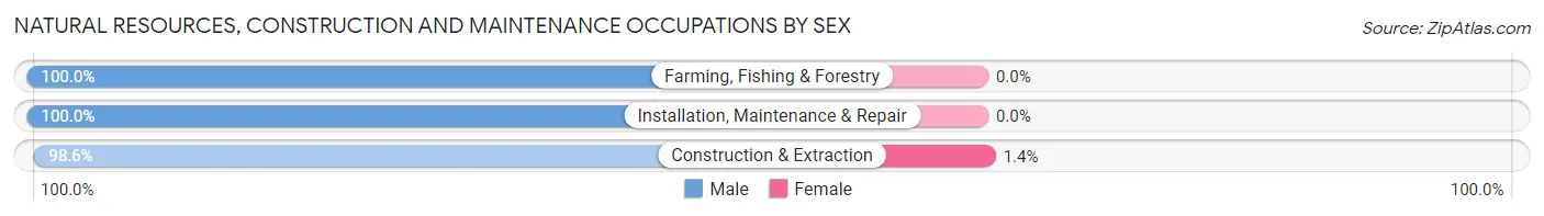 Natural Resources, Construction and Maintenance Occupations by Sex in Zip Code 16232