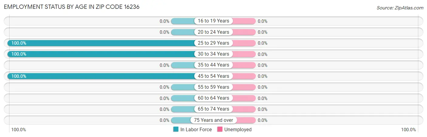 Employment Status by Age in Zip Code 16236