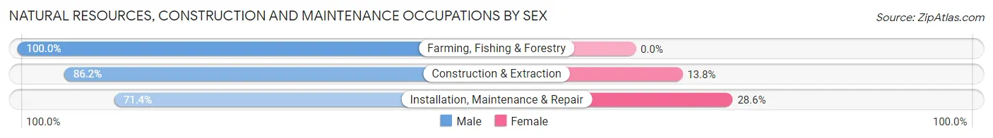 Natural Resources, Construction and Maintenance Occupations by Sex in Zip Code 16239