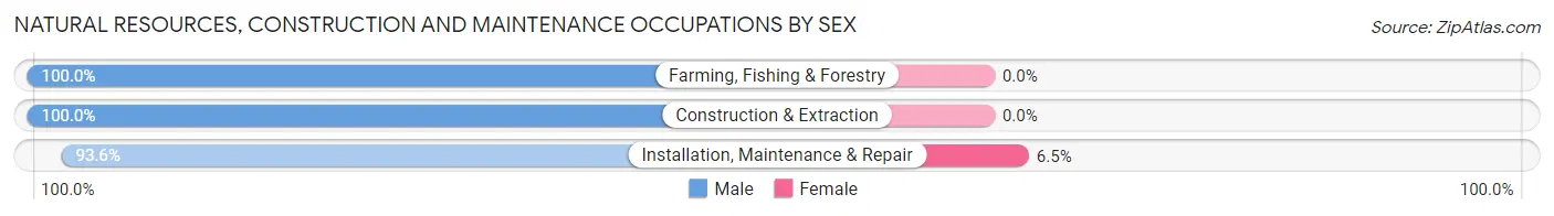 Natural Resources, Construction and Maintenance Occupations by Sex in Zip Code 16240