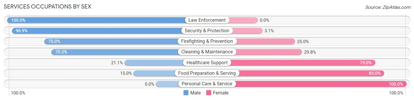 Services Occupations by Sex in Zip Code 16242
