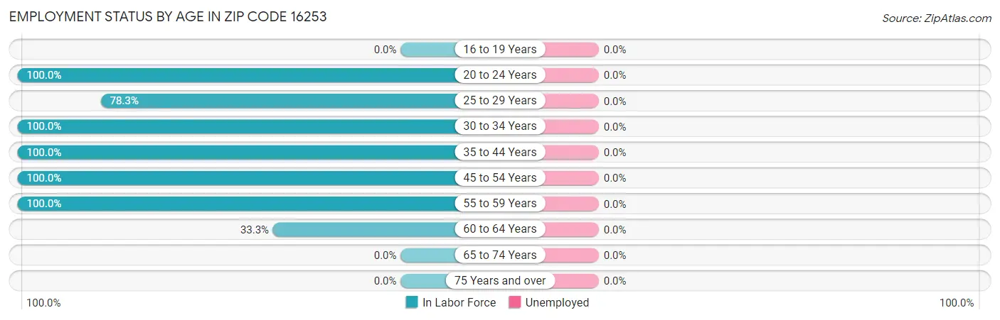 Employment Status by Age in Zip Code 16253