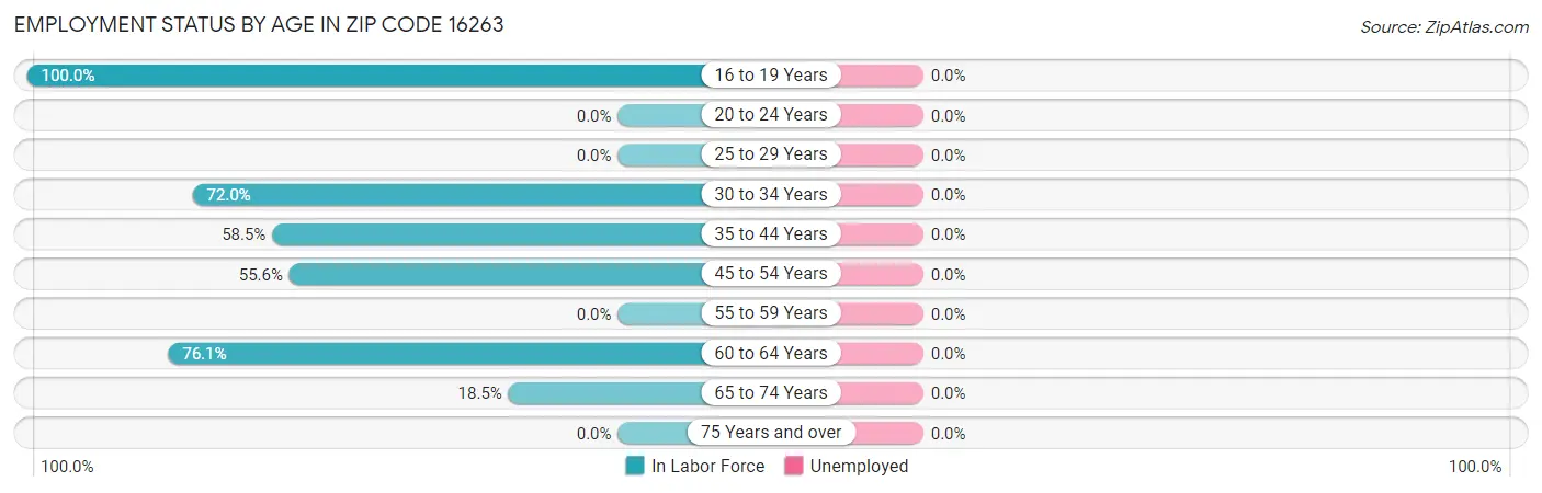 Employment Status by Age in Zip Code 16263