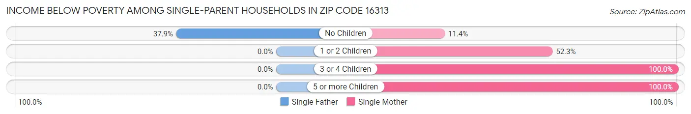Income Below Poverty Among Single-Parent Households in Zip Code 16313