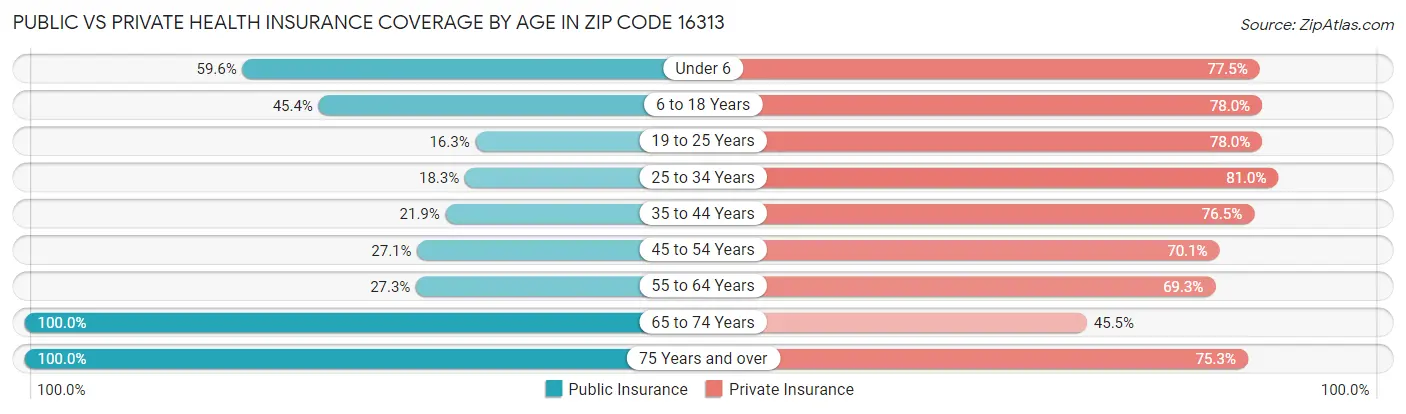 Public vs Private Health Insurance Coverage by Age in Zip Code 16313