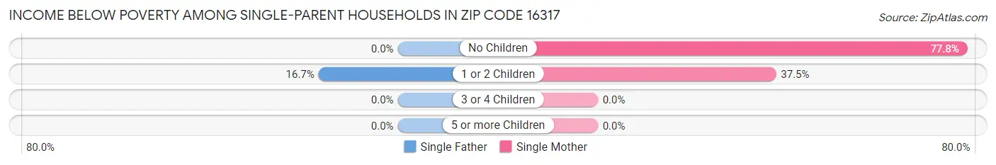 Income Below Poverty Among Single-Parent Households in Zip Code 16317