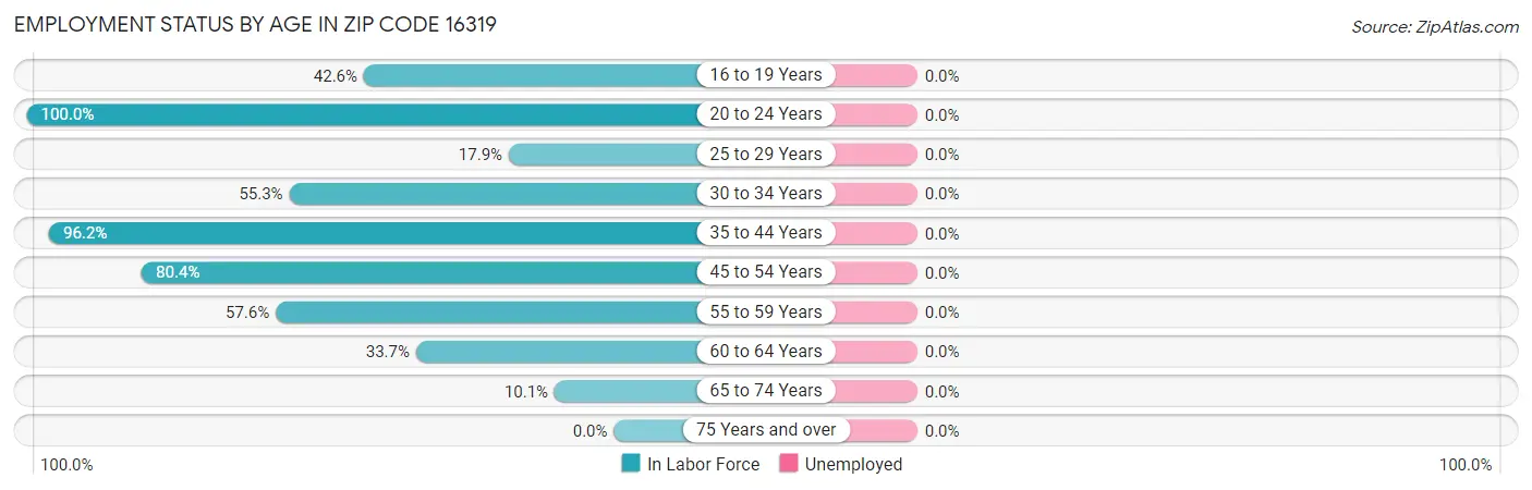Employment Status by Age in Zip Code 16319